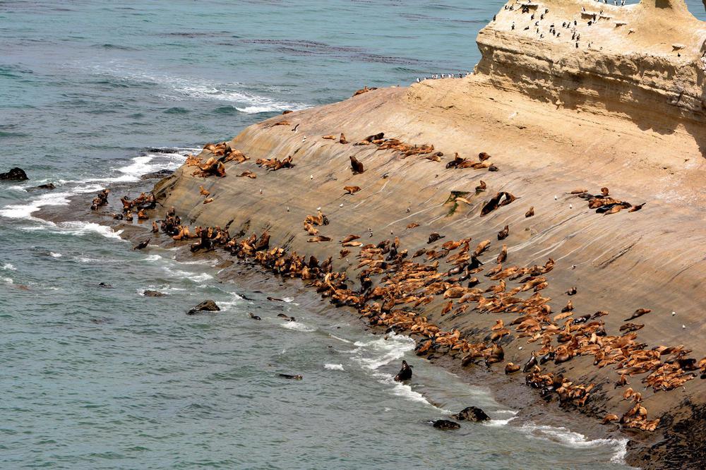 20230118PARQUE_NACIONAL_MONTE_LEON_MAKENKE_TURISMO_49