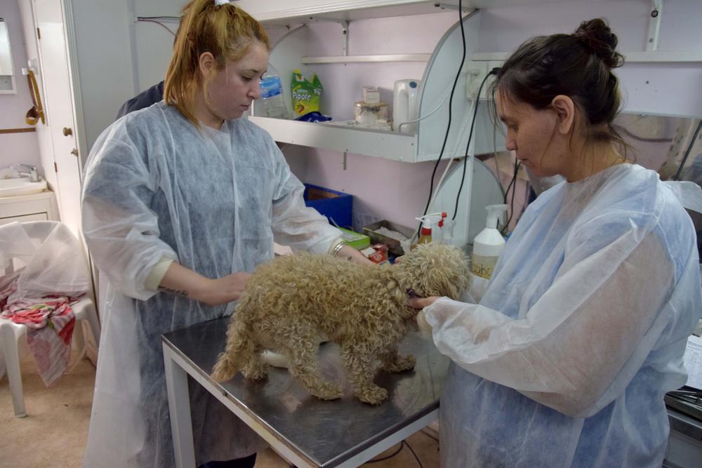 BAN_CASTRAMOVIL_RURAL_03