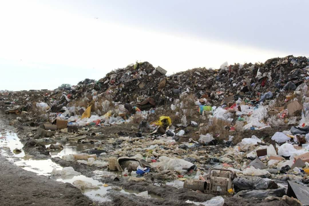 2ab8c4f8-fc82-4cc4-96a1-645a00a970b7