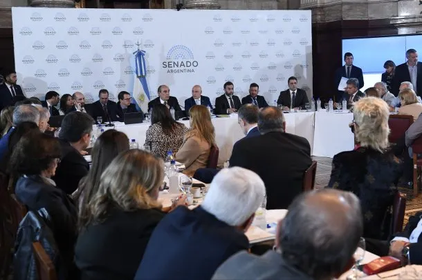 senado-ley-bases