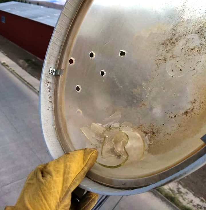 51378996_226419264980057_8276924651142119424_n