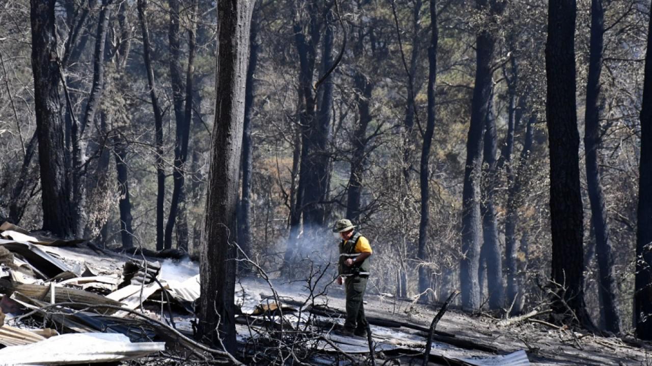 b3f2815738c33b143438ea1f21cad572_XL