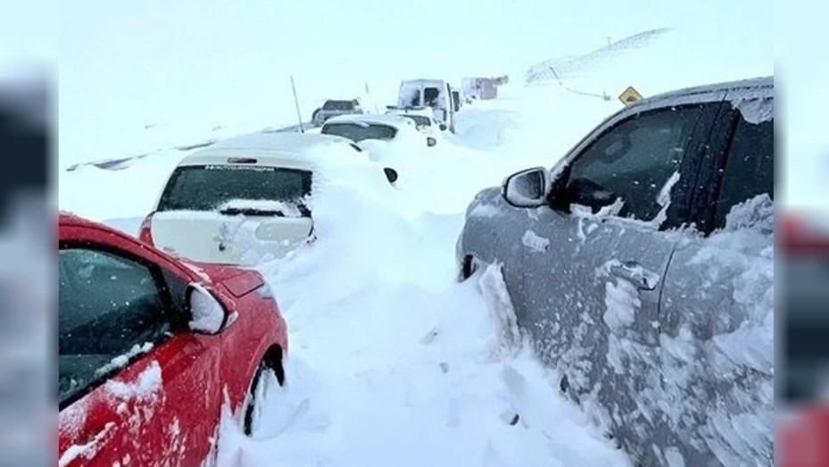 nieve