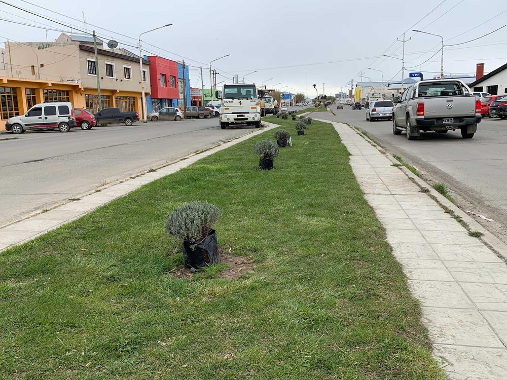 3AD60762-79C4-421B-A8A8-A6C7DA34591F