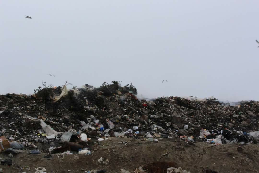 21399a08-0302-48e0-9bf5-c7b9cc8eb81e