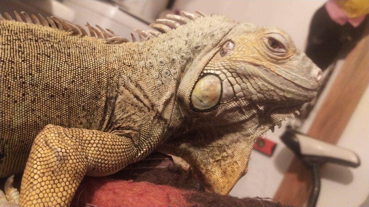 433344022_7356014977798154_766921137234740442_n