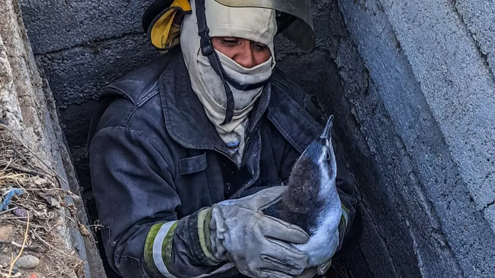 webvero - 2026-02-21T113729.134