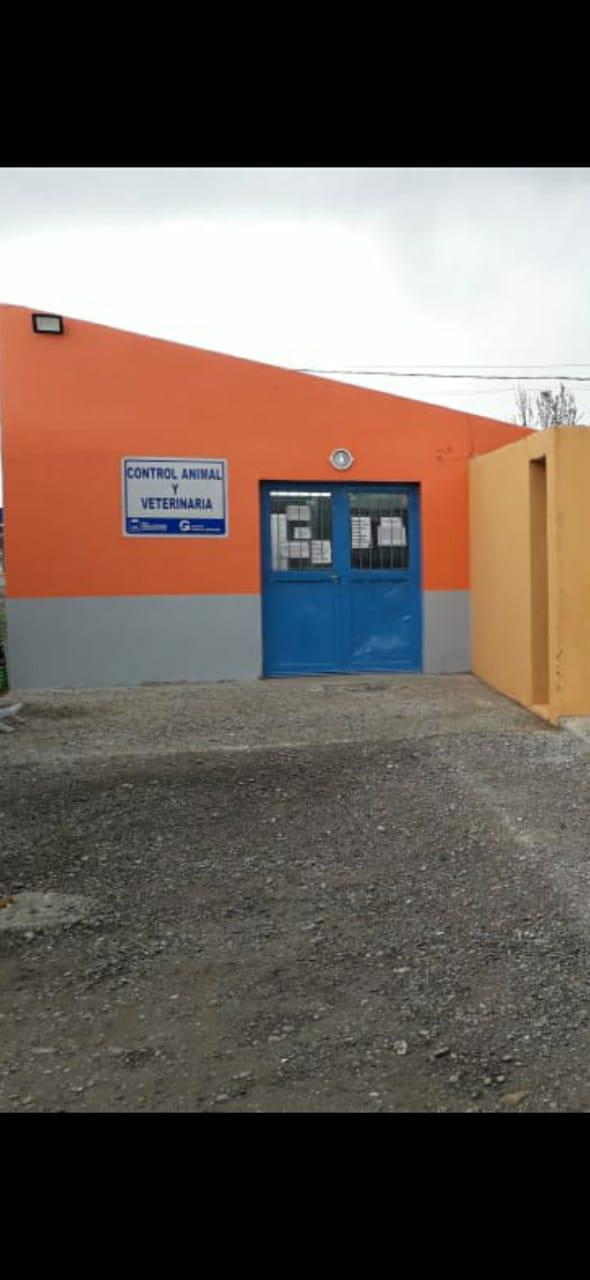 WhatsApp Image 2020-09-29 at 4.15.57 PM