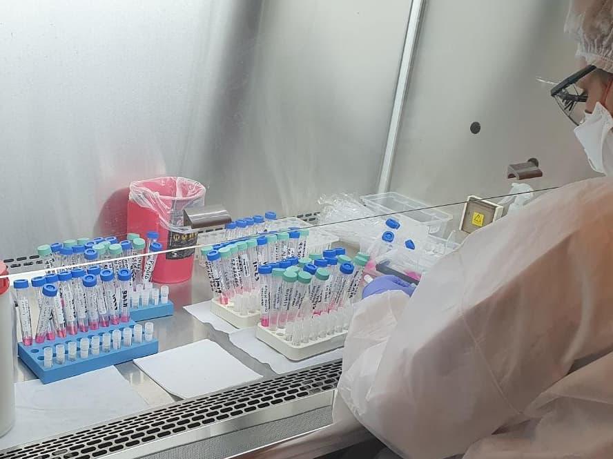 COVID 19 CALETA OLIVIA