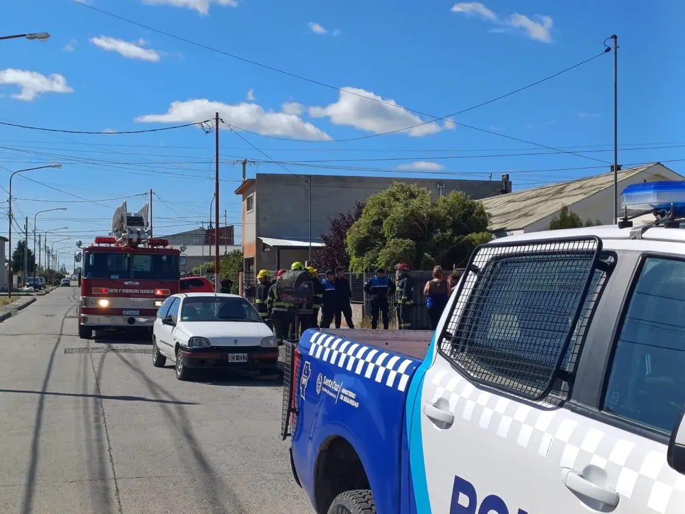 Imagen de WhatsApp 2025-02-19 a las 12.01.15_8ff32a82