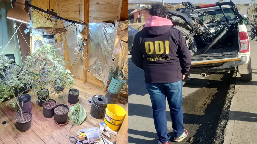 webvero - 2025-05-15T103511.286