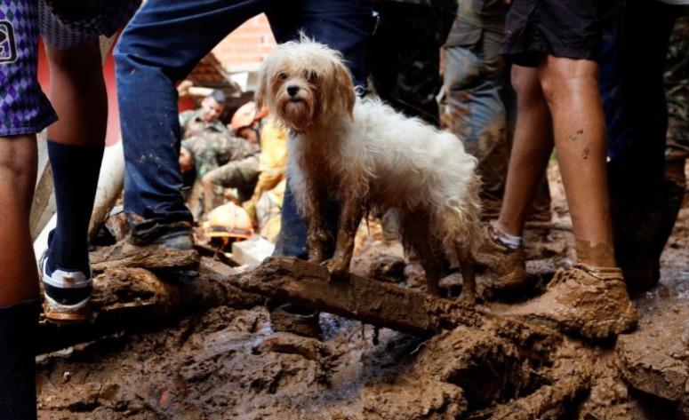 WhatsApp Image 2023-02-22 at 22.11.31