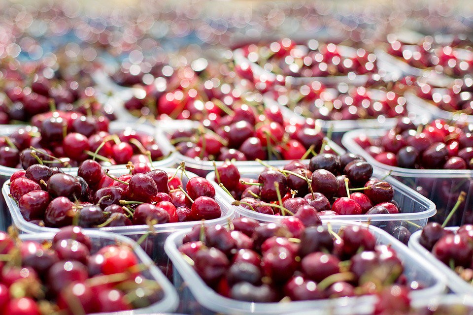 CEREZAS EL OASIS