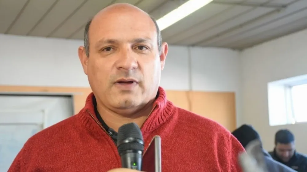 webvero - 2026-03-19T121600.336