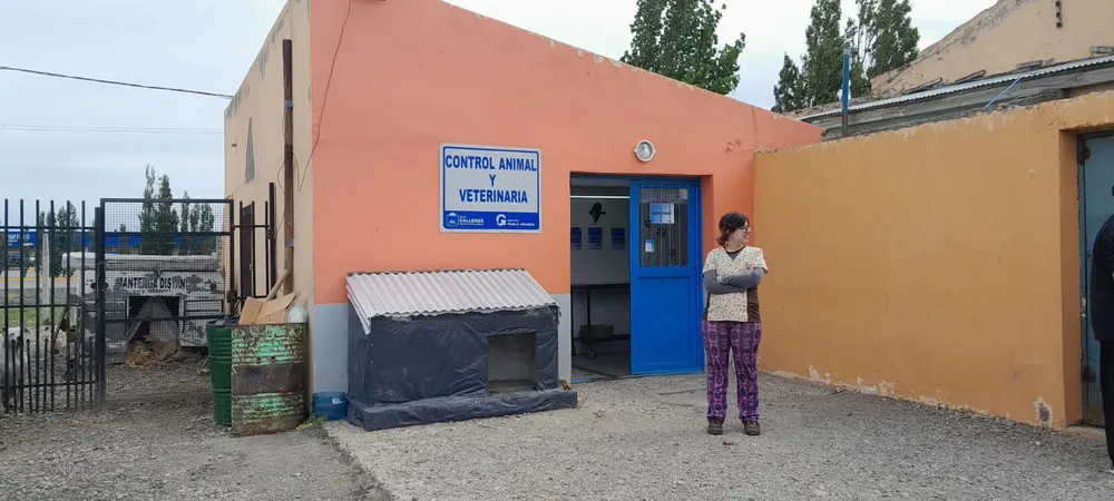 463869554_983748847118055_4423863409257568531_n