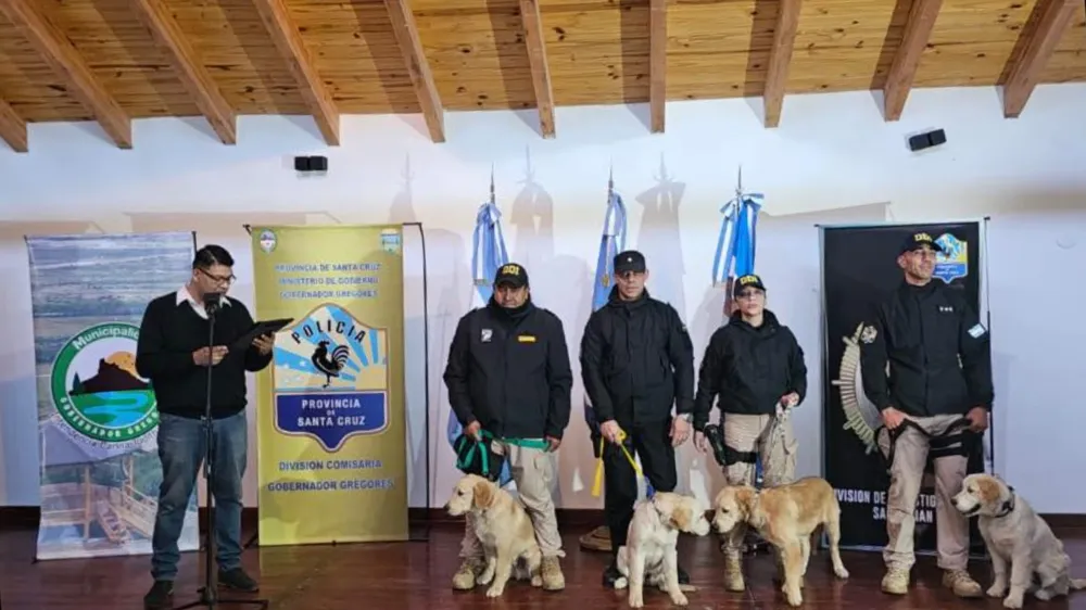 webvero - 2025-05-16T091001.408