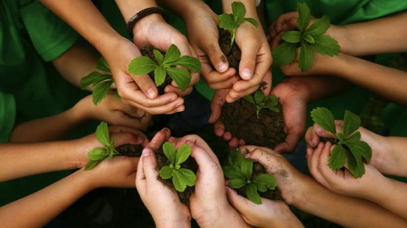 semana-educacion-ambiental