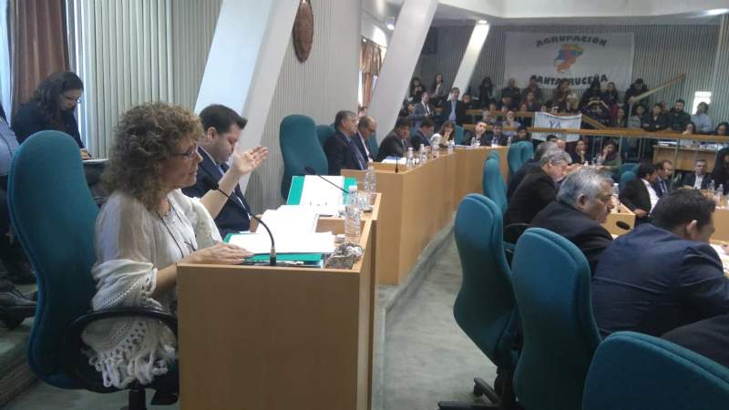 Diputada Gabriela Mestelán