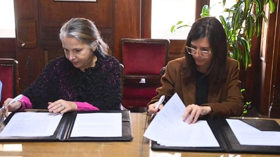darin-anses