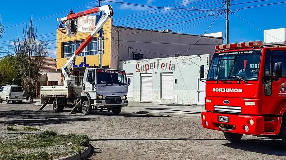 webvero - 2025-09-29T094115.982