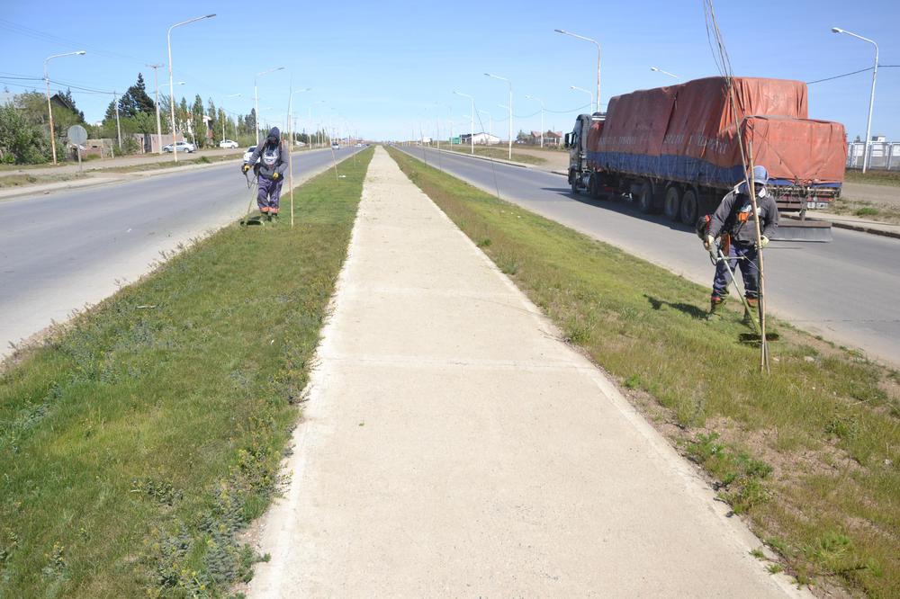 SOP_FORESTACIONES_DESMALEZAMIENTO_BOULEVAR_ASTURIAS (3)