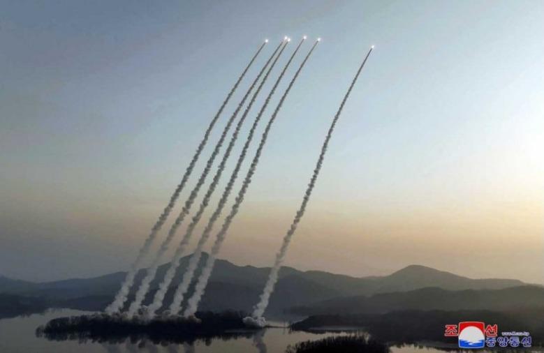 WhatsApp Image 2023-03-14 at 07.53.46