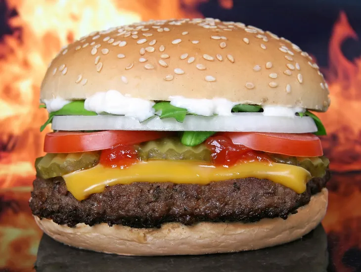 hamburger-g6c879d70f_1920jpg