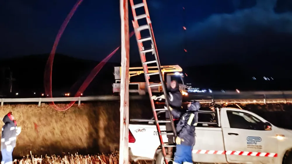 webvero - 2025-05-15T102552.063