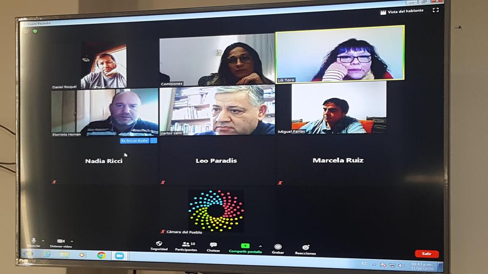 11-08-20 Comisión de Producción Agropecuaria y Pesca