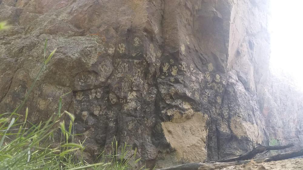 photo_5030953261665987603_w (1)