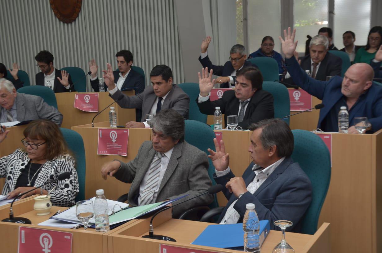 Sesión ordinaria 1 12-03-20  (38)