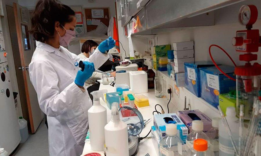 laboratorio-medicina