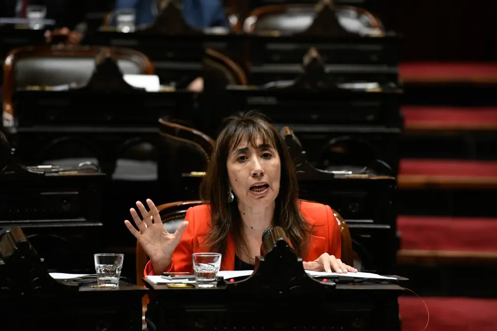 WhatsApp Image 2024-11-20 at 15.00.39