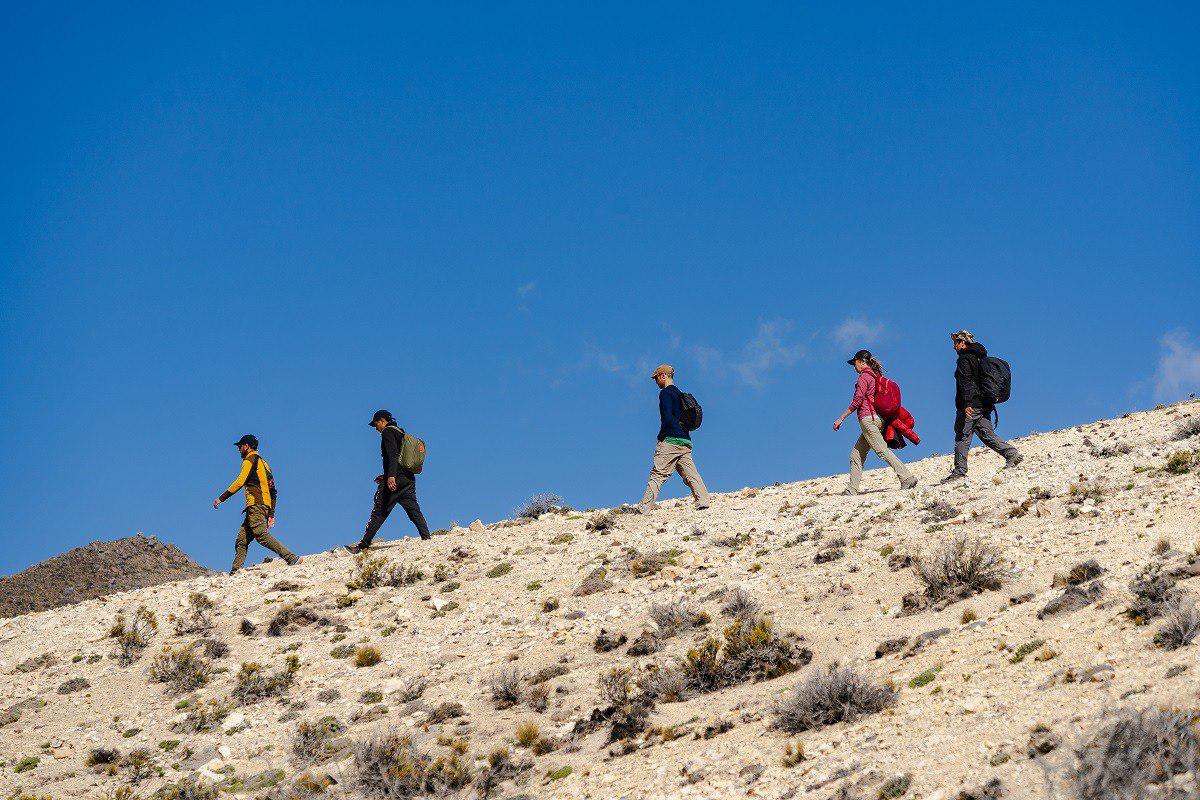 photo_5010720469598448667_y