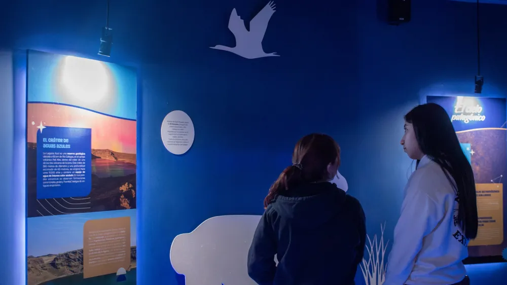 webvero - 2025-10-20T095831.613