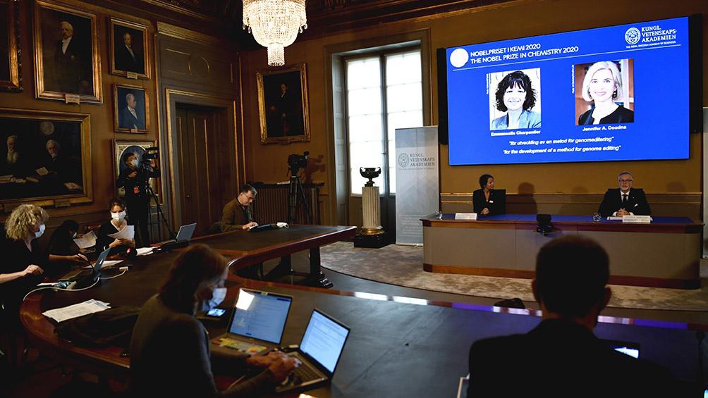 5f7d9e3ecf6d9_1004x565