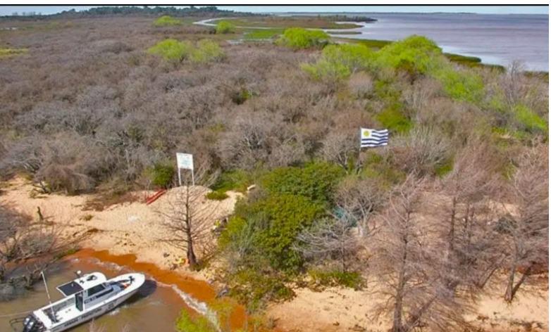 WhatsApp Image 2023-07-12 at 20.23.39