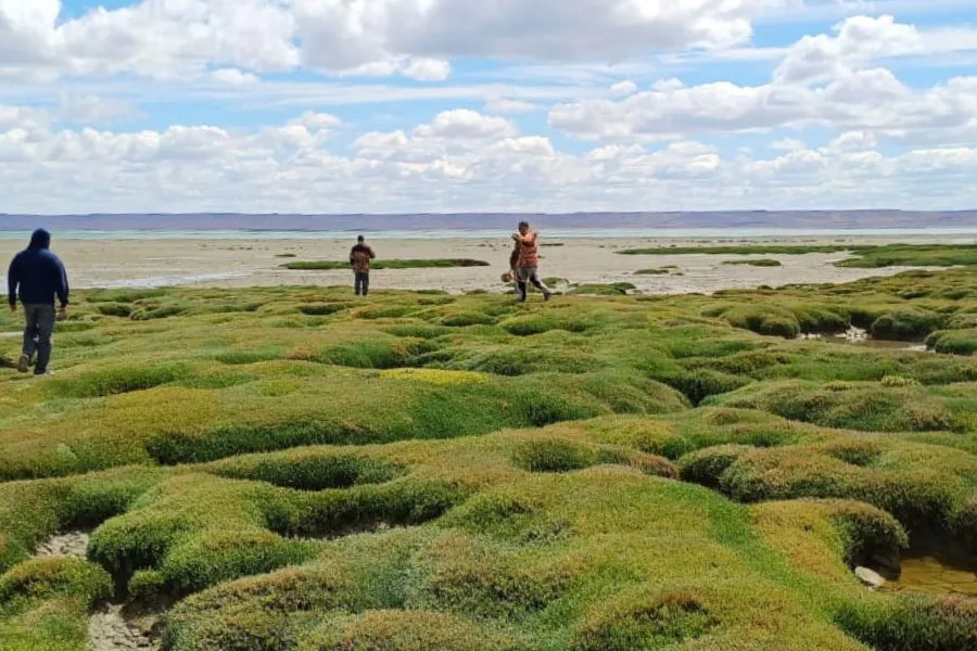 WhatsApp_Image_2026-01-13_at_9.35.58_AM_1