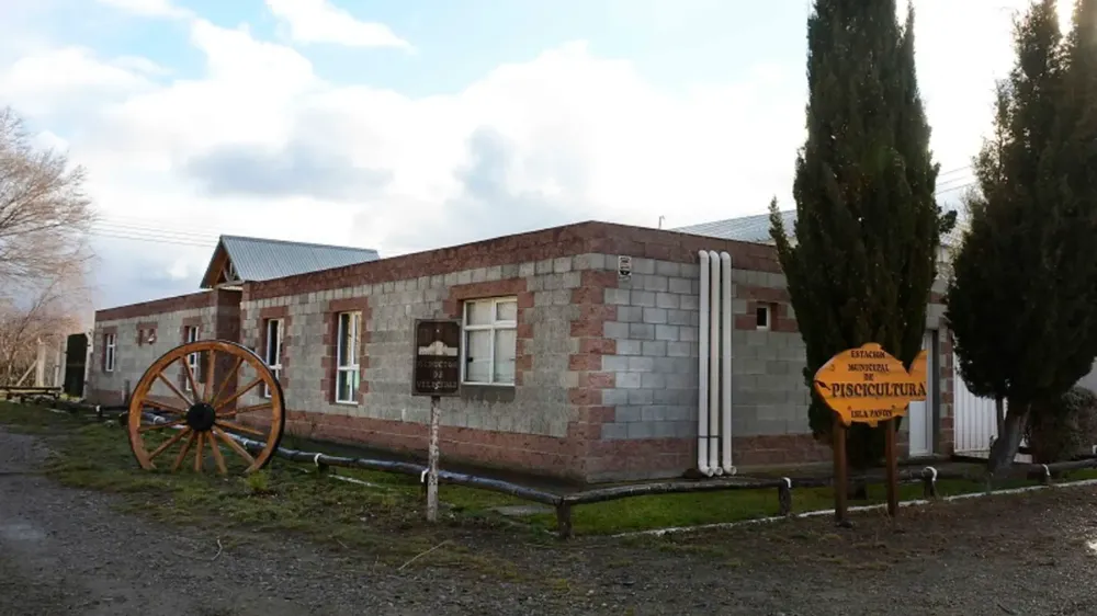 webvero_20240923_103837_0000