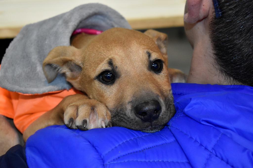 344227902_164301669625148_2083084617284758100_n