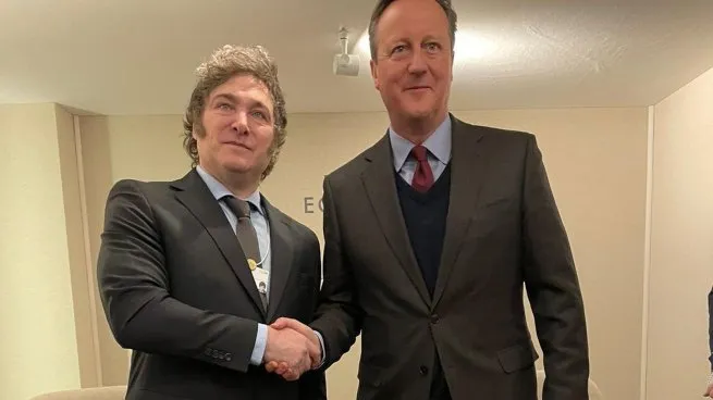 javier-milei-david-cameron-davos-2024jpg