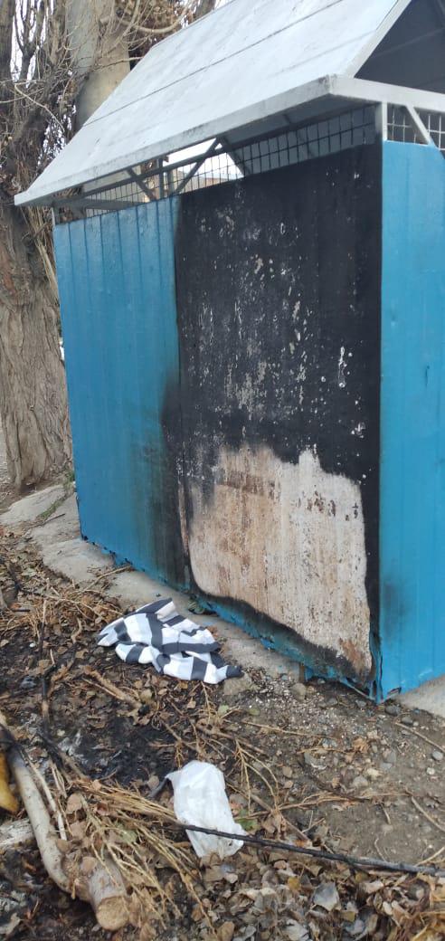 447569021_873676268125314_4187832015854831676_n