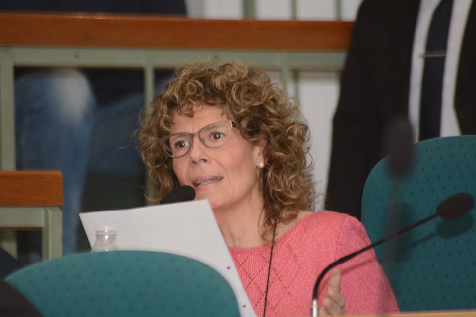 diputada Mestelán - crédito Prensa de la Legislatura