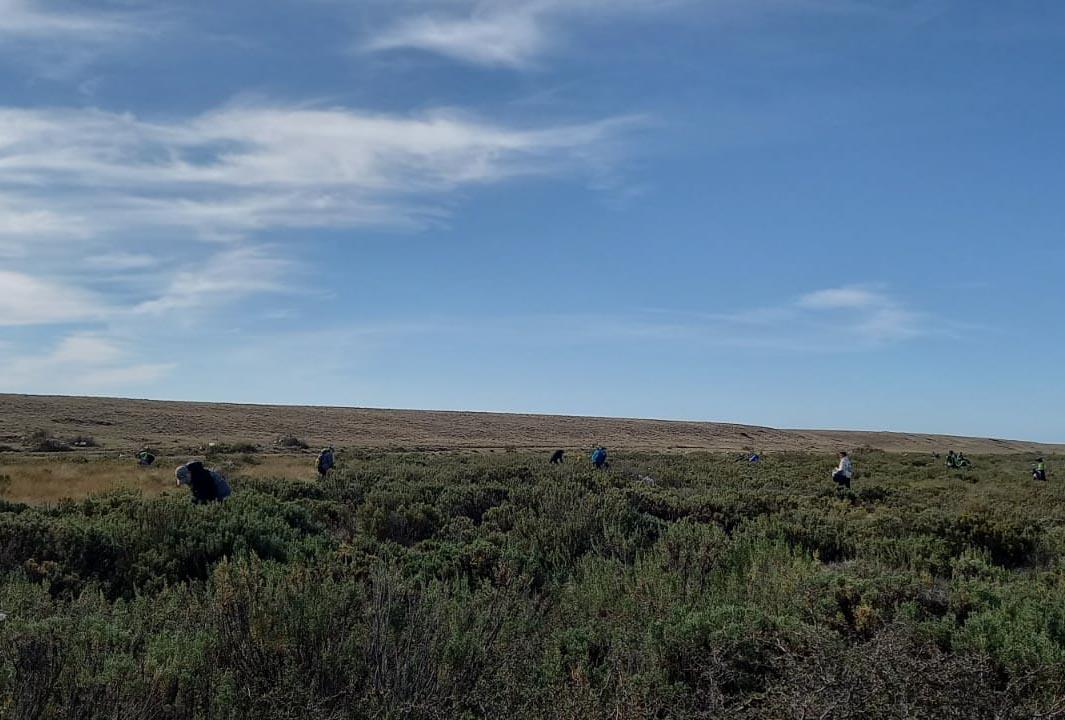 WPP_SOP_LIMPIEZA RESERVA_22_03-8