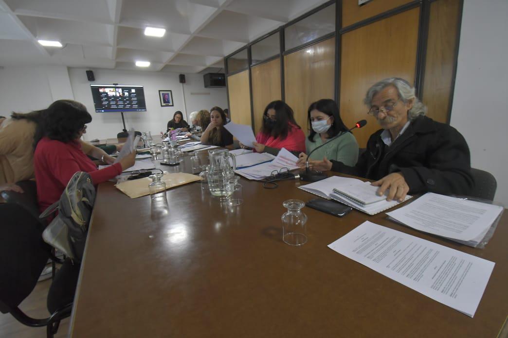 04-04 Reunion Desarrollo Social (3)