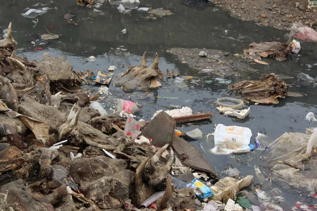 7f6c2757-e84d-4f08-b99a-1c5d50333731