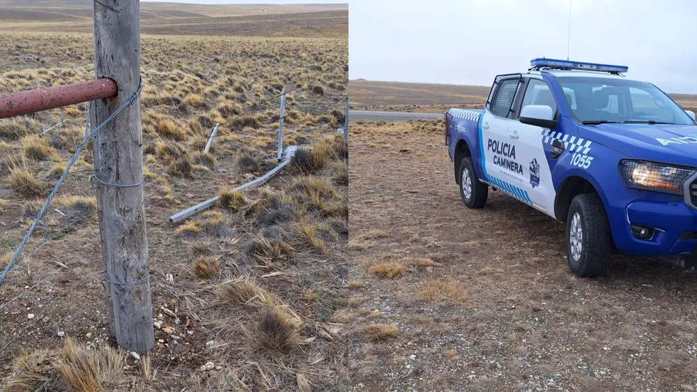 webvero - 2025-05-06T162051.891