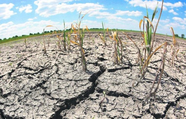 WhatsApp Image 2023-06-05 at 19.39.24