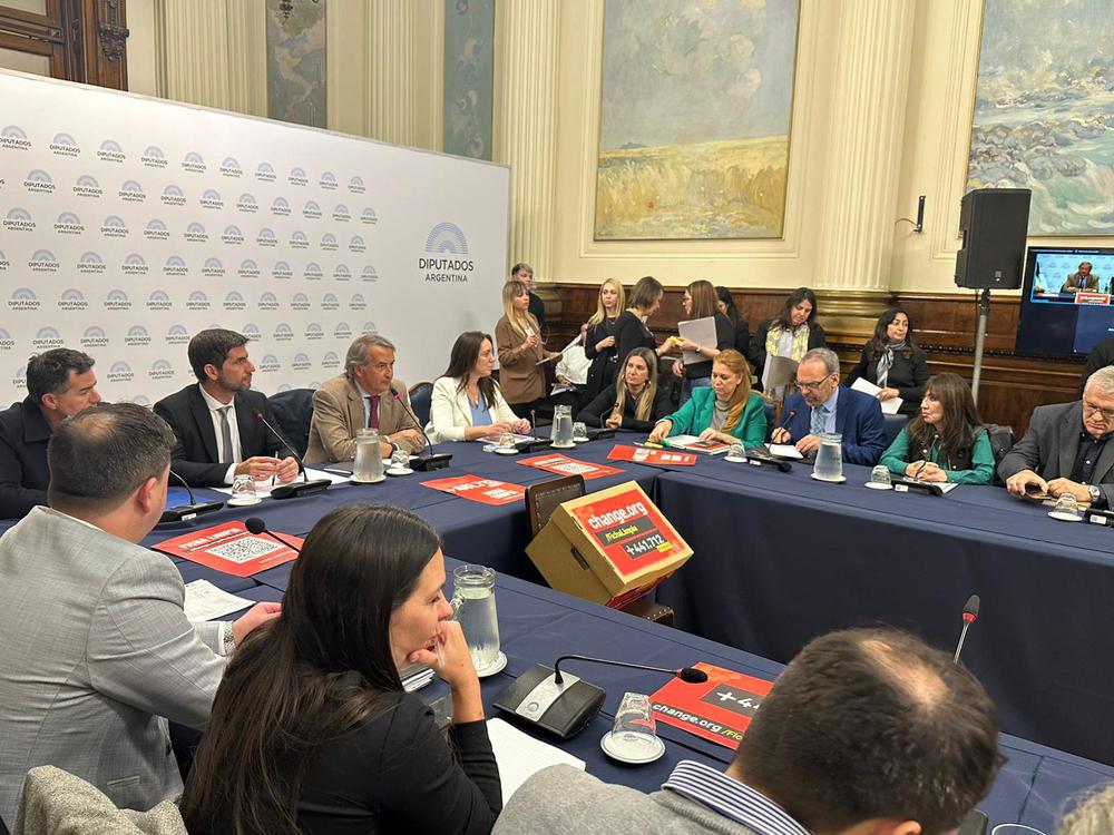 WhatsApp Image 2024-08-06 at 3.07.30 PM