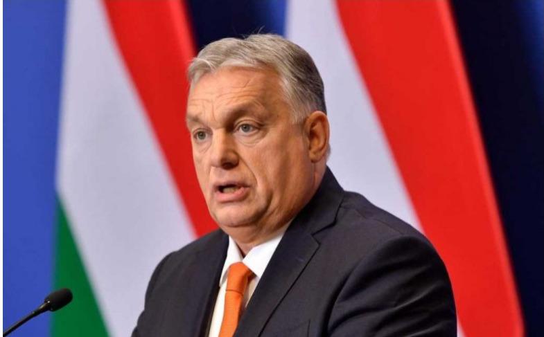 WhatsApp Image 2023-04-14 at 21.07.54